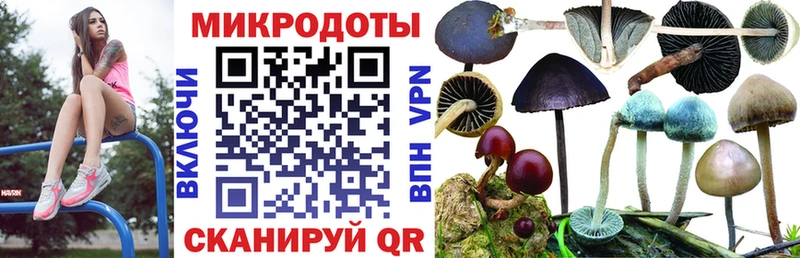 Псилоцибиновые грибы GOLDEN TEACHER  наркошоп  Весьегонск 