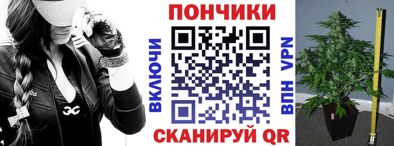 Бошки Шишки сатива  Весьегонск 